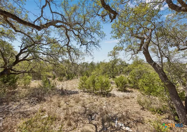 4th image of 1078 Madrone Rd, Fischer, TX 78623 | MLS# 610078