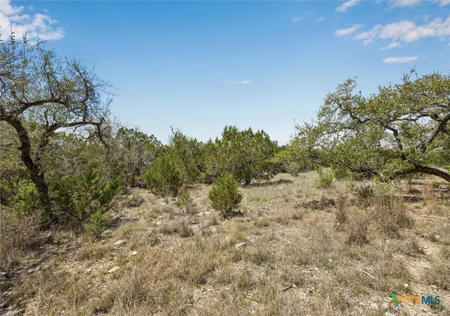 5th image of 1078 Madrone Rd, Fischer, TX 78623 | MLS# 610078