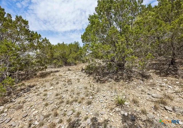 12th image of 1082 Madrone Rd, Fischer, TX 78623 | MLS# 610079