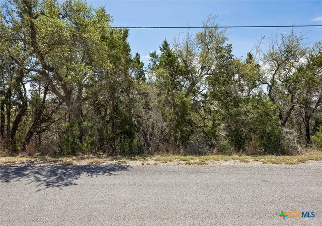 5th image of 1082 Madrone Rd, Fischer, TX 78623 | MLS# 610079