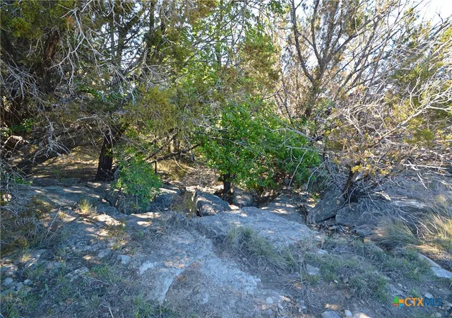 Photo 29 of Land for sale at 0 Fm 581, Lometa, TX 76853 | MLS# 610188 | Listing updated on 2026-07-27