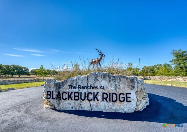 44th image of 224 Blackbuck Ridge Dr, Lampasas, TX 76550 | MLS# 610302