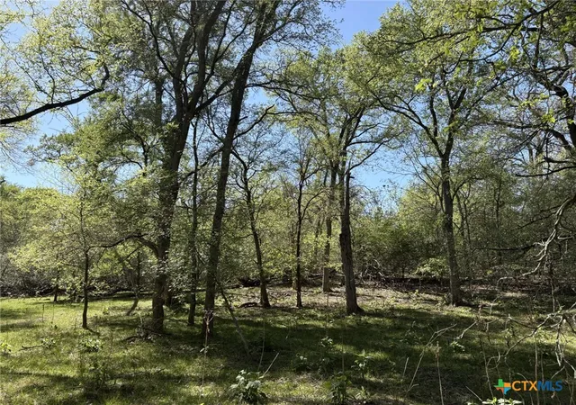 3rd image of 0 Anchor Ranch Loop, Flatonia, TX 78941 | MLS# 610113