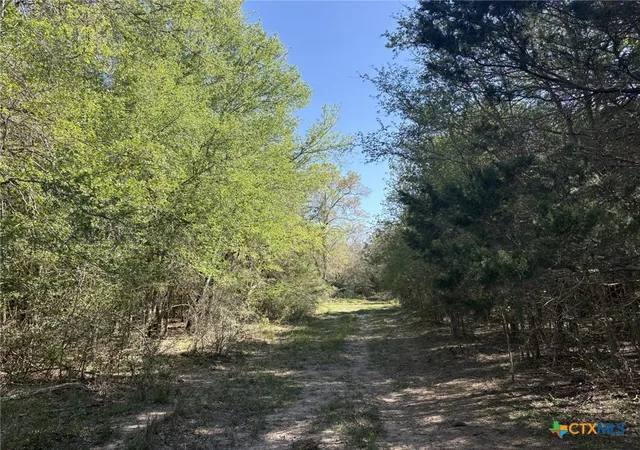 5th image of 0 Anchor Ranch Loop, Flatonia, TX 78941 | MLS# 610113