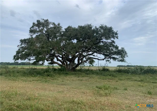 5th image of 12655 State Hwy 172, La Ward, TX 77970 | MLS# 610745
