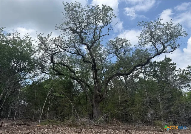 4th image of Tbd Lot 48 Juniper Rdg, Salado, TX 76571 | MLS# 611090