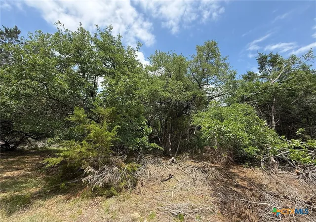 4th image of Tbd Lot 46 Juniper Rdg, Salado, TX 76571 | MLS# 611096