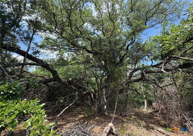 5th image of Tbd Lot 46 Juniper Rdg, Salado, TX 76571 | MLS# 611096