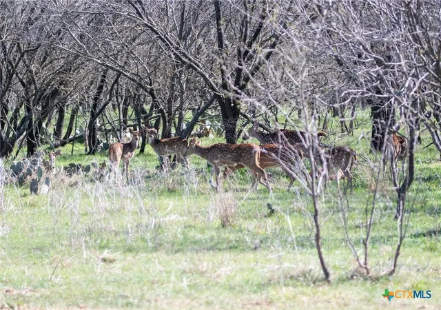 Photo 4 of Land for sale at Tbd Prairie 1789, Bend, TX 76824 | MLS# 611770 | Listing updated on 2026-06-16