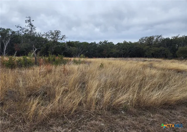 2nd image of Lot 162 Addax Ct, Lampasas, TX 76550 | MLS# 611790