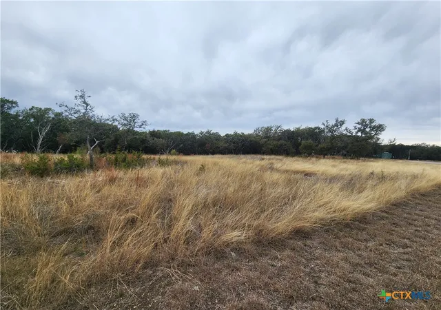 3rd image of Lot 162 Addax Ct, Lampasas, TX 76550 | MLS# 611790