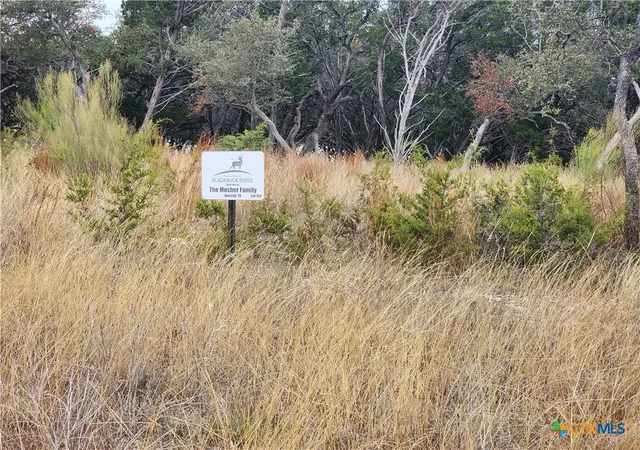 4th image of Lot 162 Addax Ct, Lampasas, TX 76550 | MLS# 611790