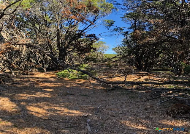 5th image of Lot 162 Addax Ct, Lampasas, TX 76550 | MLS# 611790