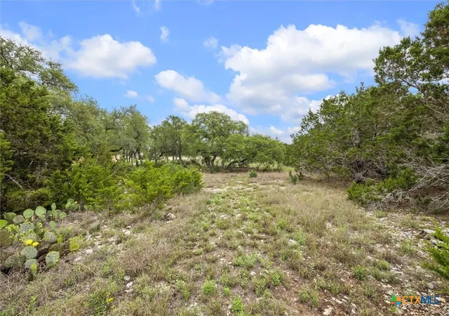4th image of 865 Rutherford, Fischer, TX 78623 | MLS# 612295