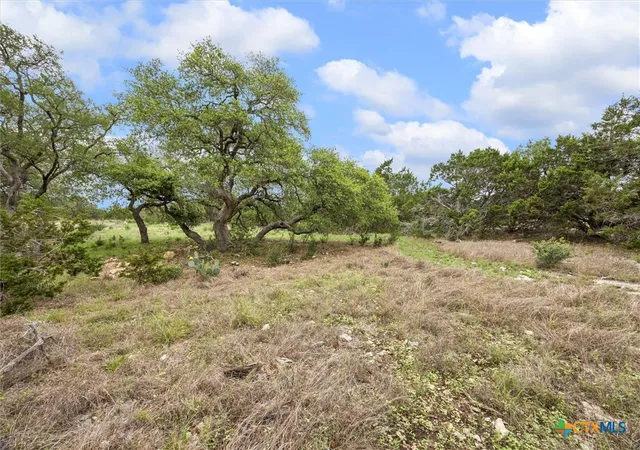 5th image of 865 Rutherford, Fischer, TX 78623 | MLS# 612295