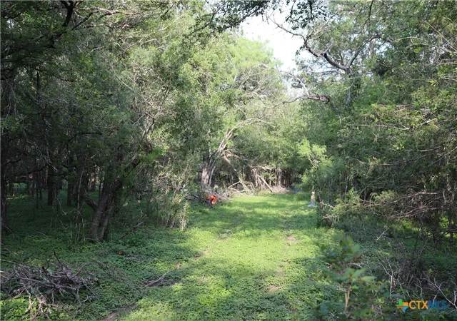 Homes for sale in Dale, TX | 320 Hillcrest Ln, Dale, TX 78616 | MLS# 612471