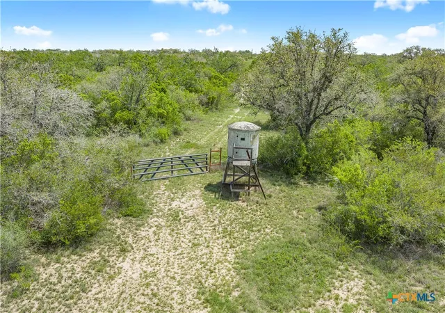 Photo 2 of Land for sale at Tbd Private Rd 1002, Pettus, TX 78146 | MLS# 612535 | Listing updated on 2026-09-18