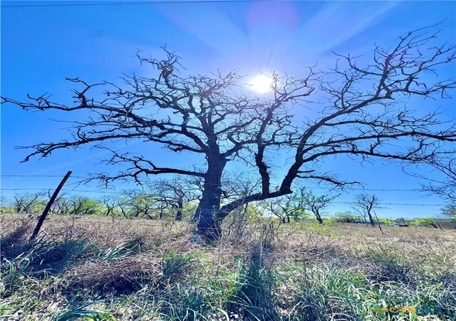 Photo 3 of Land for sale at 3775 Baker Rd, Kingsbury, TX 78638 | MLS# 612068 | Listing updated on 2026-05-03