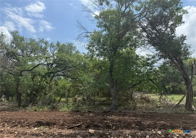 Photo 2 of Land for sale at Tbd Lot 14 Silverleaf Ridge, Salado, TX 76571 | MLS# 613045 | Listing updated on 2026-05-08