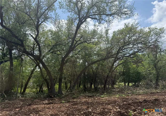 Photo 3 of Land for sale at Tbd Lot 14 Silverleaf Ridge, Salado, TX 76571 | MLS# 613045 | Listing updated on 2026-05-08