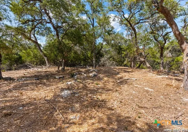 Photo 2 of Sale Pending at 1468 Stahlman Way, New Braunfels, TX 78132 | MLS# 613000 | Listing updated on 2026-06-24