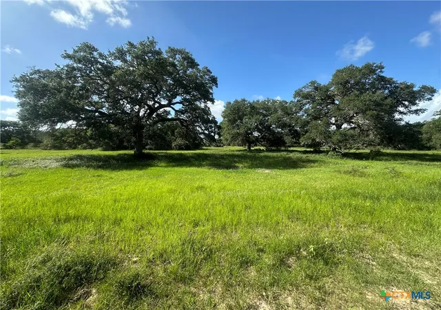 33rd image of 10772 State Hwy 111, Edna, TX 77957 | MLS# 612962