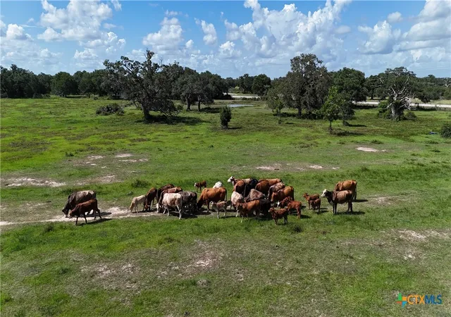 5th image of 10772 State Hwy 111, Edna, TX 77957 | MLS# 612962