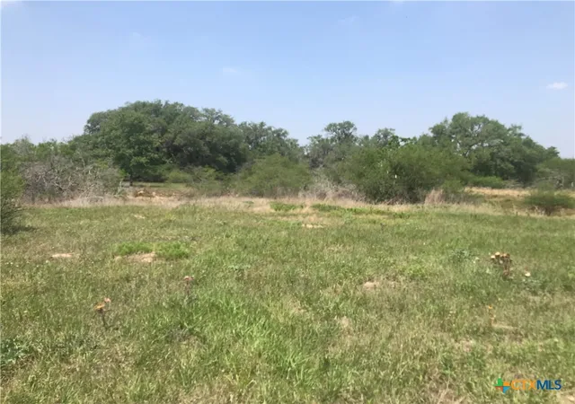 Photo 2 of Land for sale at 00 Quail Run Trl, Fannin, TX 77960 | MLS# 613120 | Listing updated on 2026-05-09