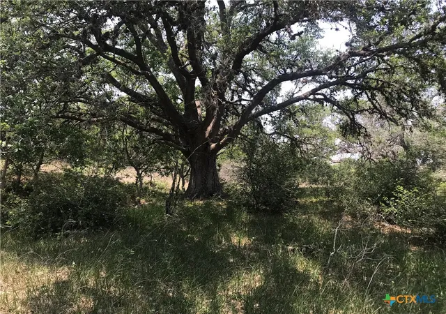 Photo 3 of Land for sale at 00 Quail Run Trl, Fannin, TX 77960 | MLS# 613120 | Listing updated on 2026-05-09