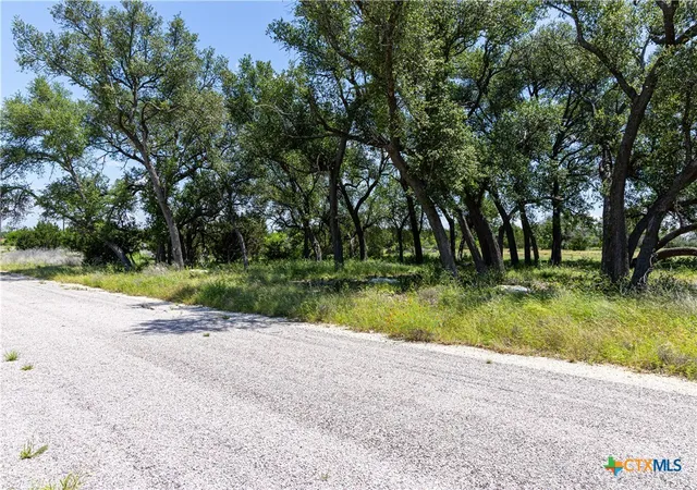 Homes for sale in Lampasas, TX | 101 Pr 1295, Lampasas, TX 76550 | MLS# 613141