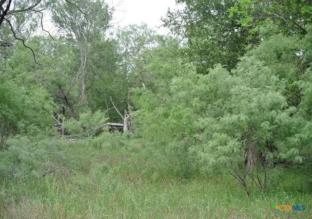 4th image of 185 Campobella Ln, Kingsbury, TX 78638 | MLS# 613147
