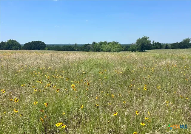 23rd image of 300 County Road 340, Mc Gregor, TX 76657 | MLS# 613172