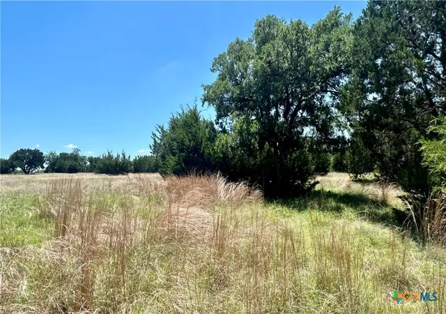 5th image of 300 County Road 340, Mc Gregor, TX 76657 | MLS# 613172