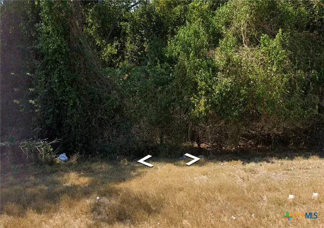 1st image of 719 Water St, Gonzales, TX 78629 | MLS# 613216