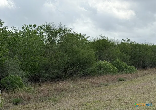 Photo 2 of Land for sale at Tract 9 Love Rd, Victoria, TX 77904 | MLS# 613242 | Listing updated on 2026-05-10