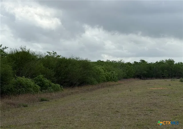 Photo 3 of Land for sale at Tract 9 Love Rd, Victoria, TX 77904 | MLS# 613242 | Listing updated on 2026-05-10
