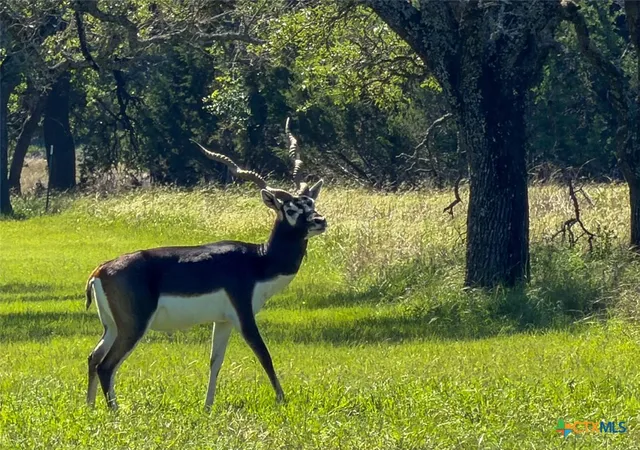 Photo 3 of Land for sale at Lot 16 Sable Pass, Lampasas, TX 76550 | MLS# 613375 | Listing updated on 2026-05-12