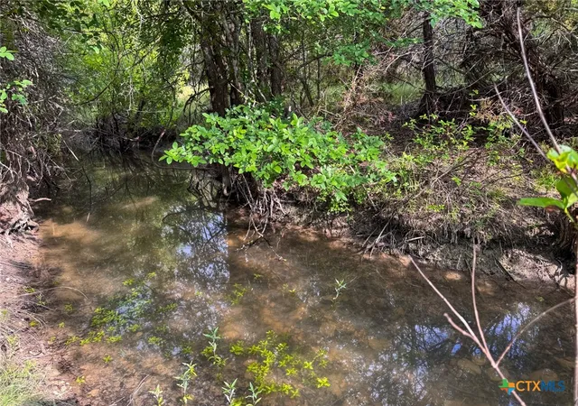 5th image of Unassigned Private Road 16029, Jonesboro, TX 76538 | MLS# 613230