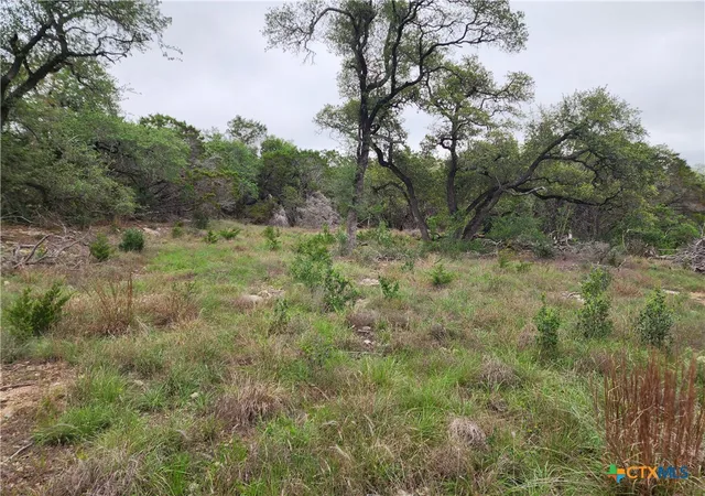 2nd image of 286 Flanders, Fischer, TX 78623 | MLS# 613383
