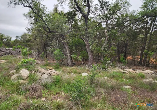 Photo 3 of Land for sale at 286 Flanders, Fischer, TX 78623 | MLS# 613383 | Listing updated on 2026-05-12