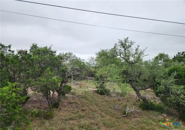 4th image of 286 Flanders, Fischer, TX 78623 | MLS# 613383