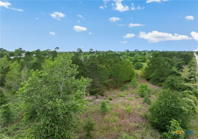 12th image of Tbd County Rd, Bastrop, TX 78602 | MLS# 613348