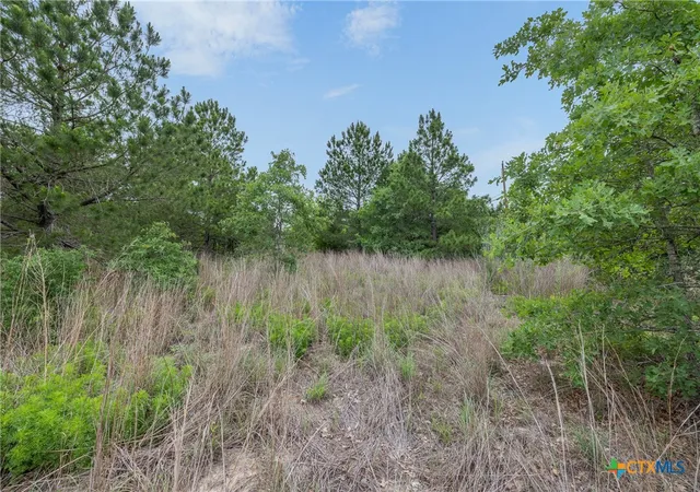 2nd image of Tbd County Rd, Bastrop, TX 78602 | MLS# 613348