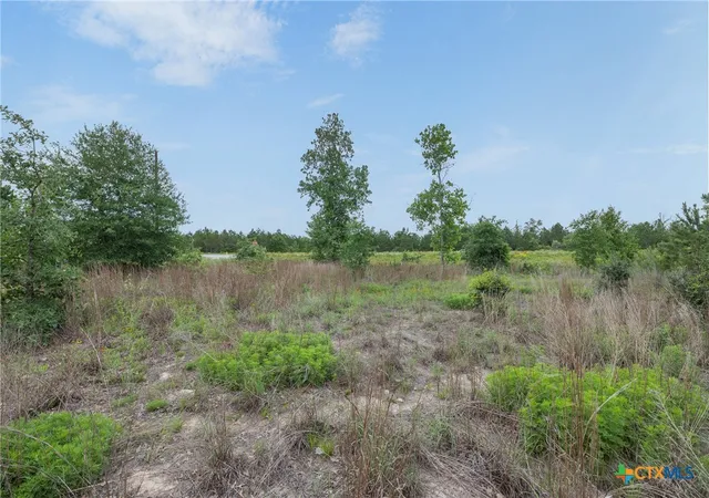 4th image of Tbd County Rd, Bastrop, TX 78602 | MLS# 613348