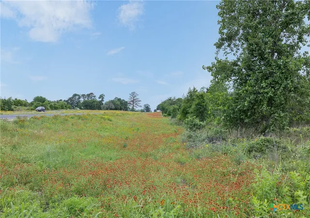 5th image of Tbd County Rd, Bastrop, TX 78602 | MLS# 613348