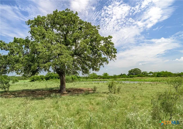 2nd image of Tbd Fm 2237, Flatonia, TX 78941 | MLS# 613408