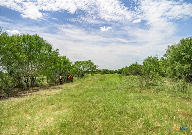 3rd image of Tbd Fm 2237, Flatonia, TX 78941 | MLS# 613408