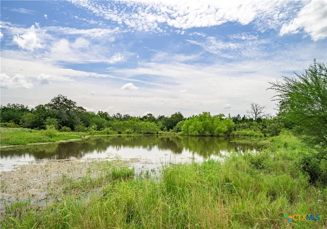 2nd image of Tbd Roy Road, Flatonia, TX 78941 | MLS# 613412