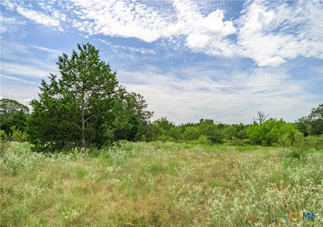 5th image of Tbd Roy Road, Flatonia, TX 78941 | MLS# 613412