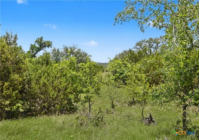 Photo 2 of Land for sale at 179 E County Rd 318, Goldthwaite, TX 76844 | MLS# 613517 | Listing updated on 2026-05-13